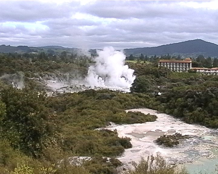 Geysir in Rotorua